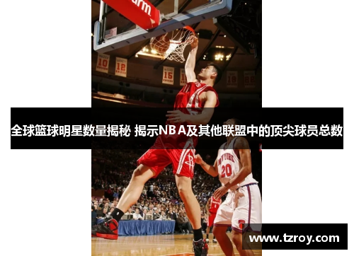全球篮球明星数量揭秘 揭示NBA及其他联盟中的顶尖球员总数