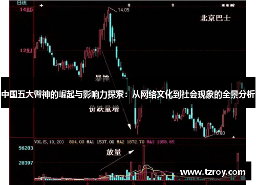 中国五大臀神的崛起与影响力探索：从网络文化到社会现象的全景分析